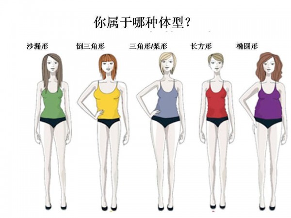 鉴定体型的话,要有肩宽,胸腰臀三围都要有的.
