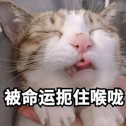 被命运扼住喉咙.jpg