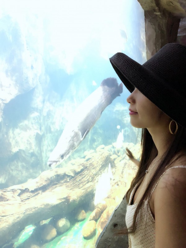 image.jpeg image.jpeg