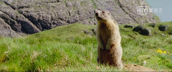 63dfe654368ec9ddce5d5d5e6893d6d.jpg 63dfe654368ec9ddce5d5d5e6893d6d.jpg