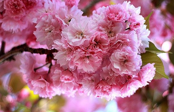 00景色2.jpeg 00景色2.jpeg