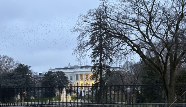 3d4789836094a561d7b0833eb2fc5d66.jpeg 3d4789836094a561d7b0833eb2fc5d66.jpeg