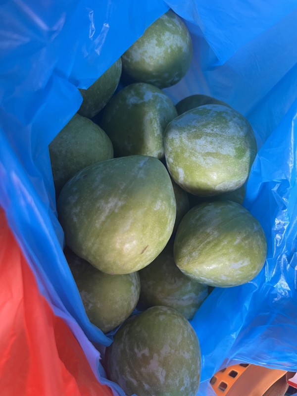 1B65374E-7746-44D3-BC7E-3C9FA06573F8.jpeg 1B65374E-7746-44D3-BC7E-3C9FA06573F8.jpeg