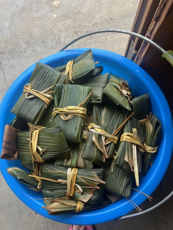 AFA8557D-D8CC-4BFD-BC4A-68791365C25E.jpeg AFA8557D-D8CC-4BFD-BC4A-68791365C25E.jpeg